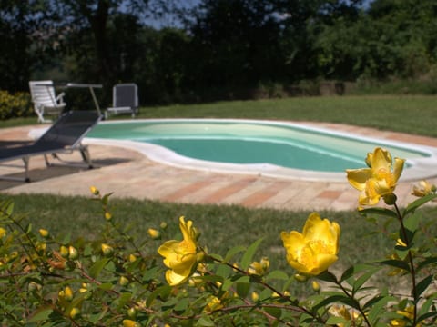 'Casa il Girasole'