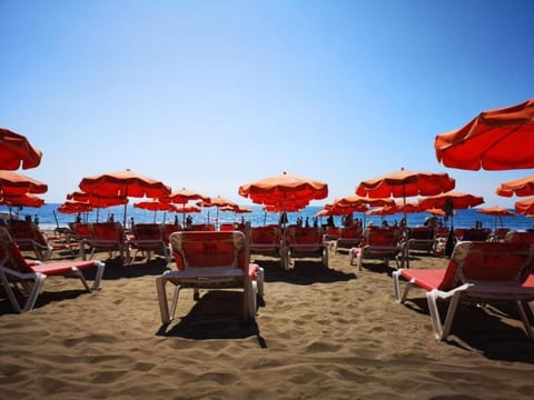"Surycan 133" mit Terrasse