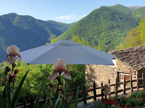 Casa Piccola