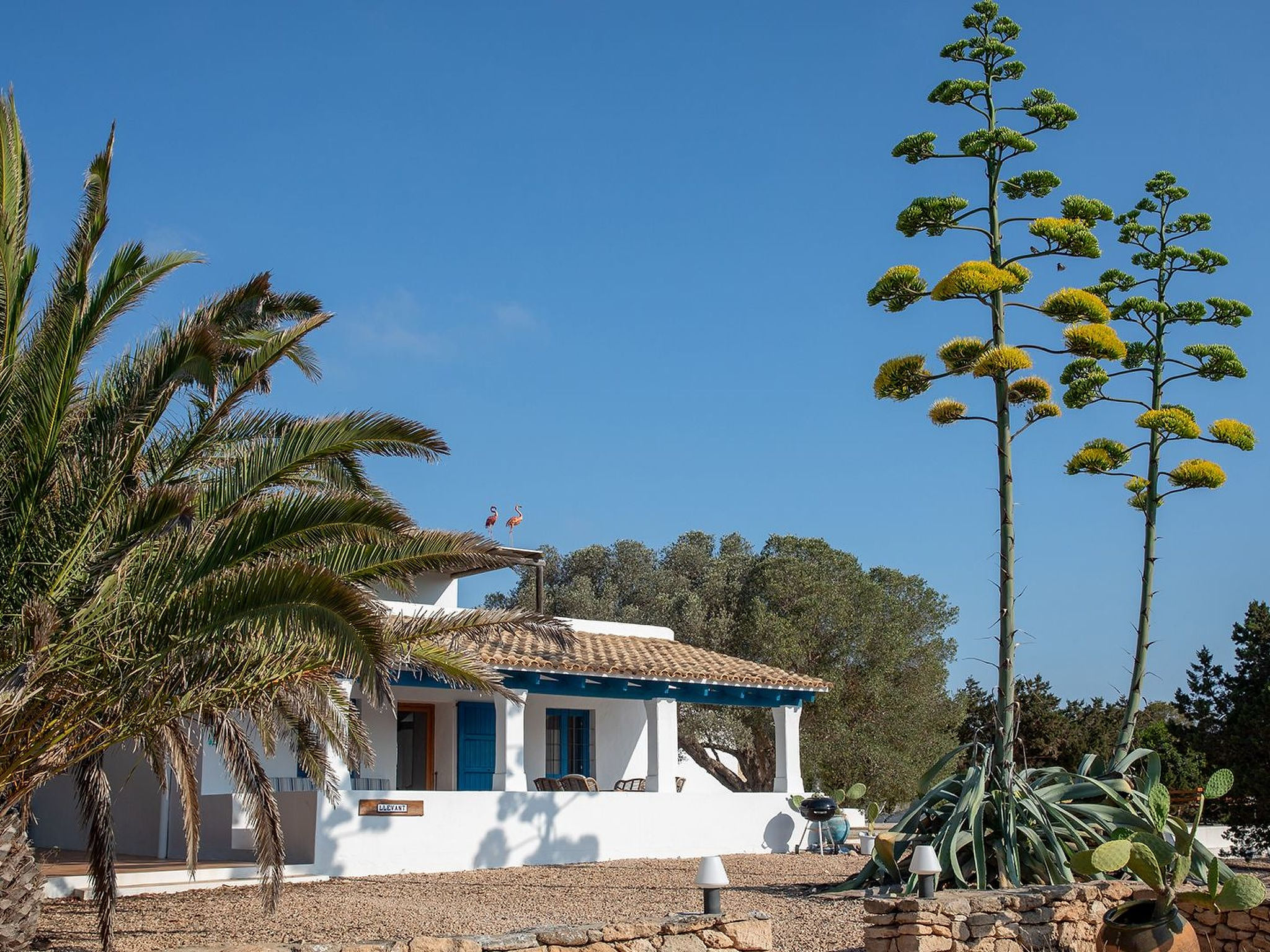 Casa Llevant 4 pax