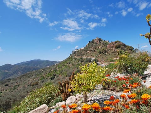 Ein Traumurlaub im Herzen von Andalusien.