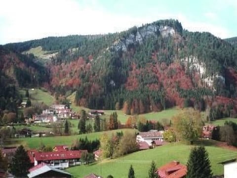 Falkenhorst Wh 19
