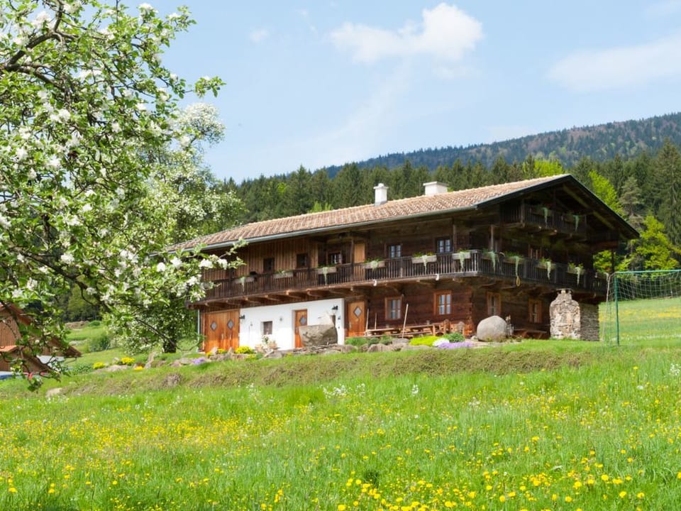 Woferlhof - Arnbruck