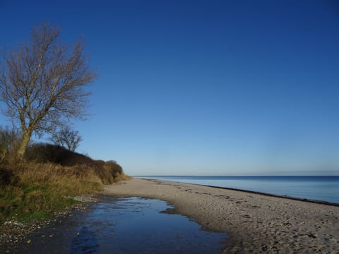 Urlaub am Meer im Ferienhaus mit Sauna