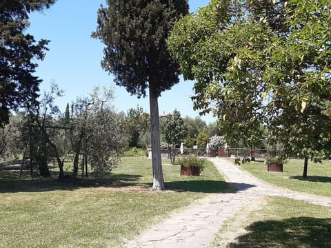 Villa Poggio le Vignacce