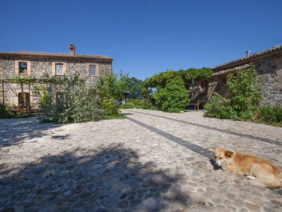 Appartamento Noce - Castel Giorgio