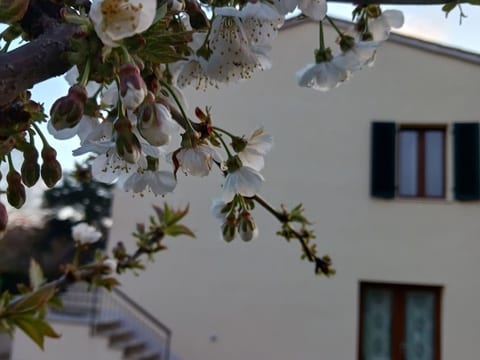 Natur, Komfort und Entspannung