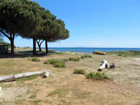 Rico Plage type A