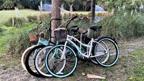 YOUR WHEELS... 4 BEACH BIKES INCLUDED. MILES OF BIKING ON BEACH AND PATHS. FUN!
