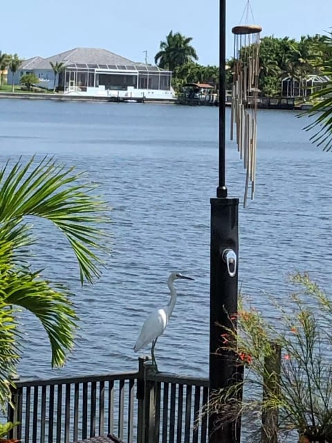 Hanging Out