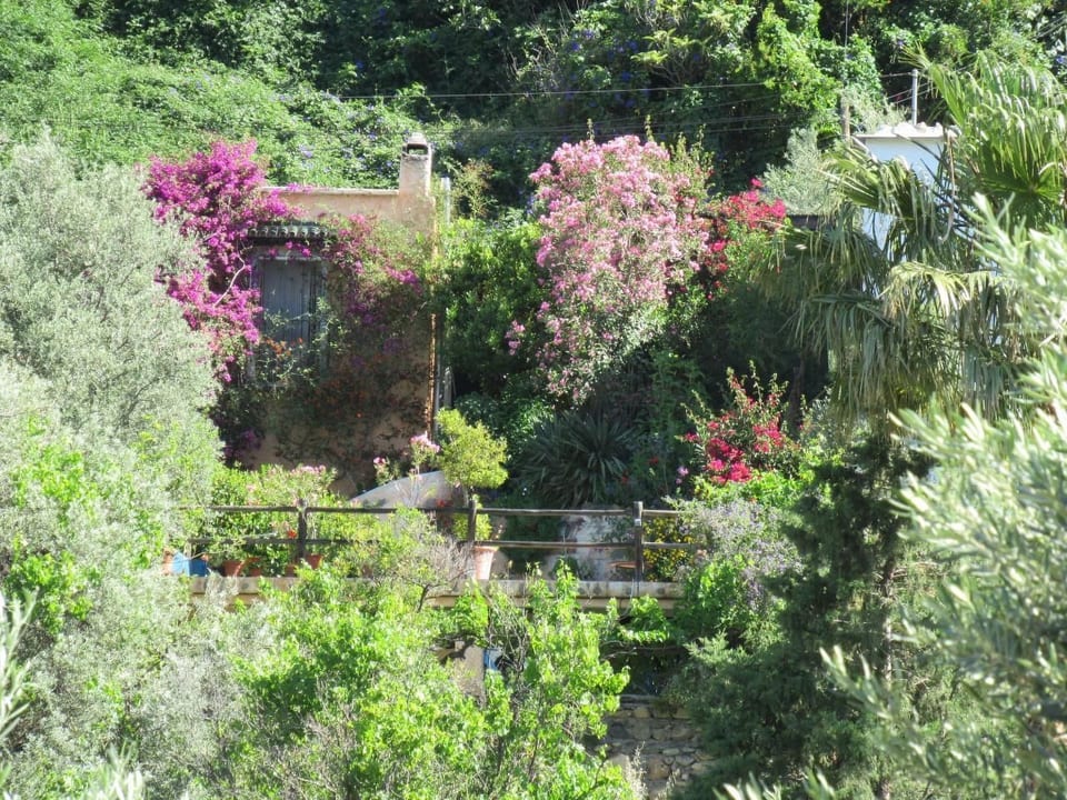 Casa vacanze accogliente a Tíjola con barbecue, giardino e terrazza - Órgiva