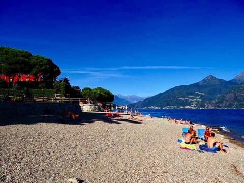 Little Paradise