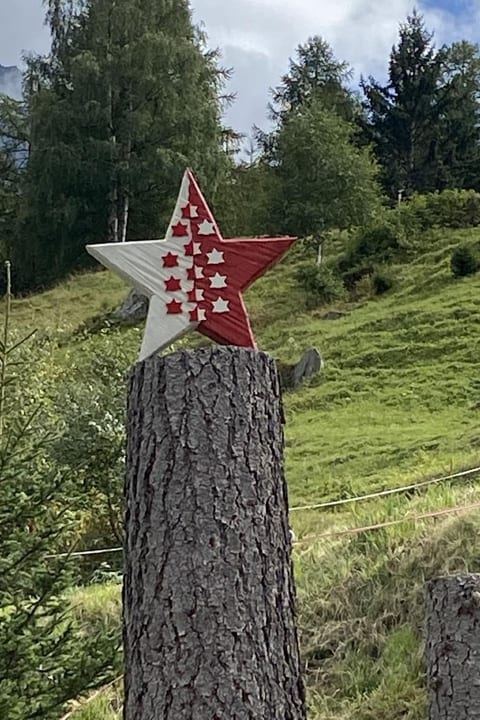 Chalet Spycher