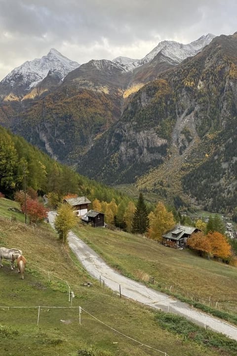 Chalet Spycher
