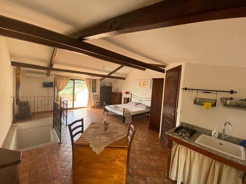 Großes Studio mit Terrasse mit Meerblick