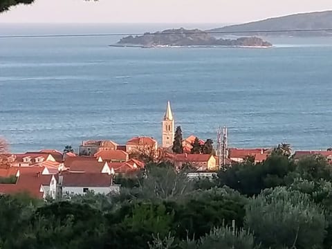 Michele-Mandarin