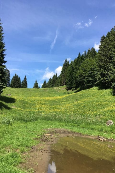 mit Sauna in Pieve Di Bono