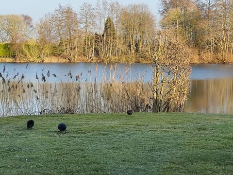 Haus am Kiessee mit direkter Angelseelage