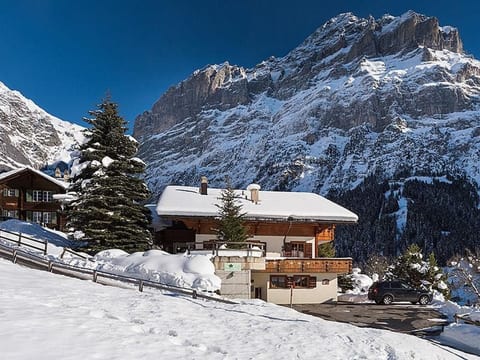 Grindelwald Zwygarte