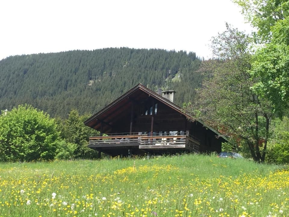 alleinstehendes Ferienhaus - Grindelwald