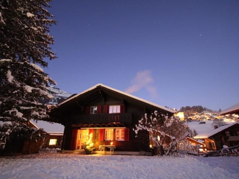 Chalet Gletscherfloh