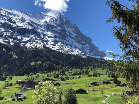 Chalet Gletscherfloh
