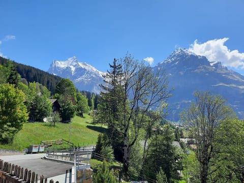 Eschengasse 21