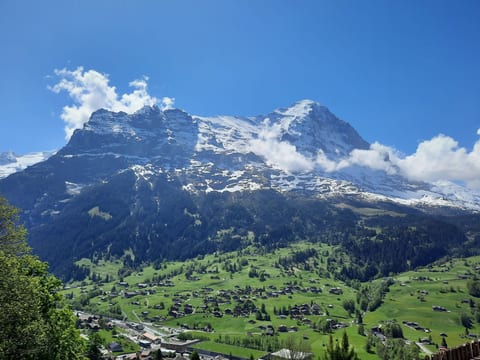 Eschengasse 21