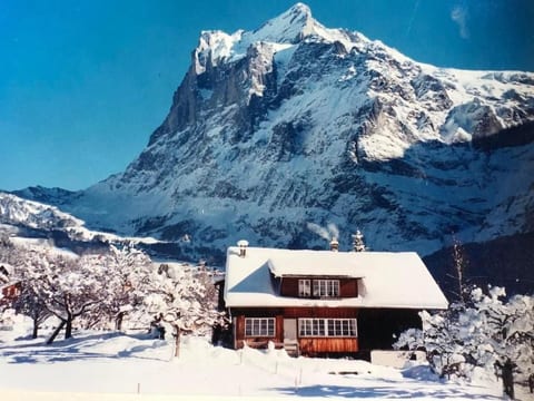 Beim Faulensee 2-Bett Wohnung  1. Stock Ost