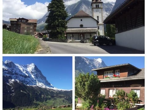 Beim Faulensee 2-Bett Wohnung  1. Stock  West