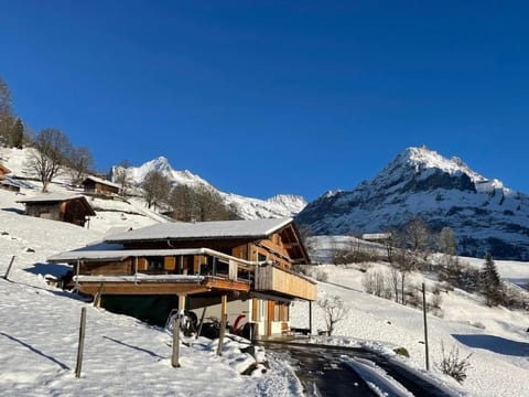 Chalet Bachsbort 14
