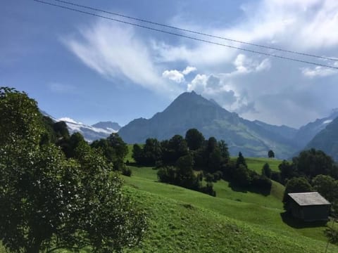Chalet Bachsbort 14