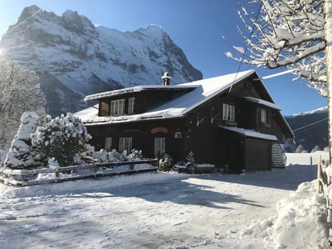 gemütliches SINGLE-Studio