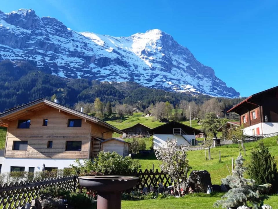 Chalet Friedrich - Grindelwald