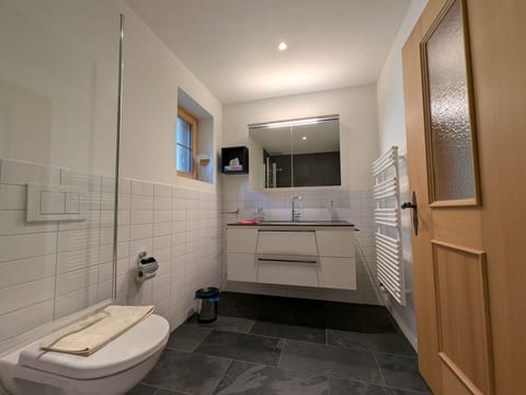 Apartment Celina
