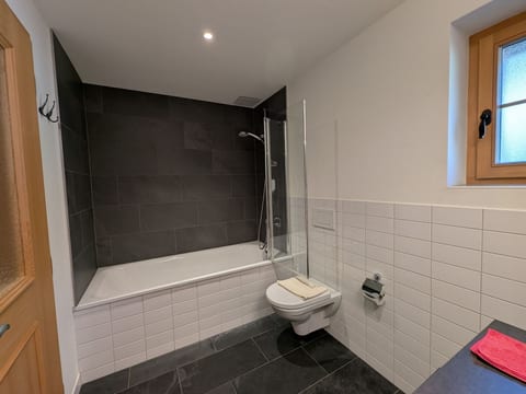 Apartment Celina