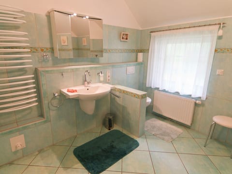 BUT 79 - Reetdach-Ferienhaus am Deich