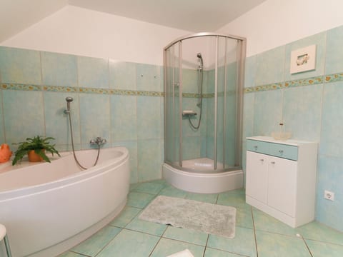 BUT 79 - Reetdach-Ferienhaus am Deich
