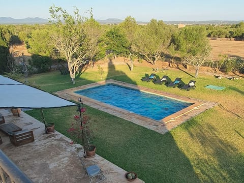Finca SON FRED, Campos.