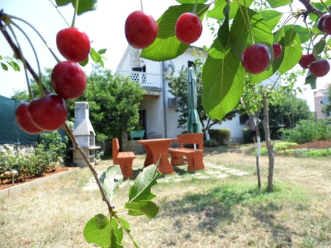 Schöne, gemütliche Ferienwohnung "Mira B" mit Garten