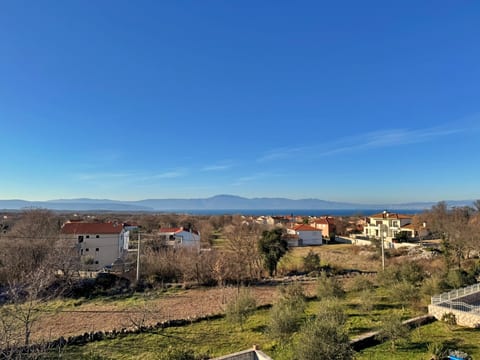 Apartment Pavle