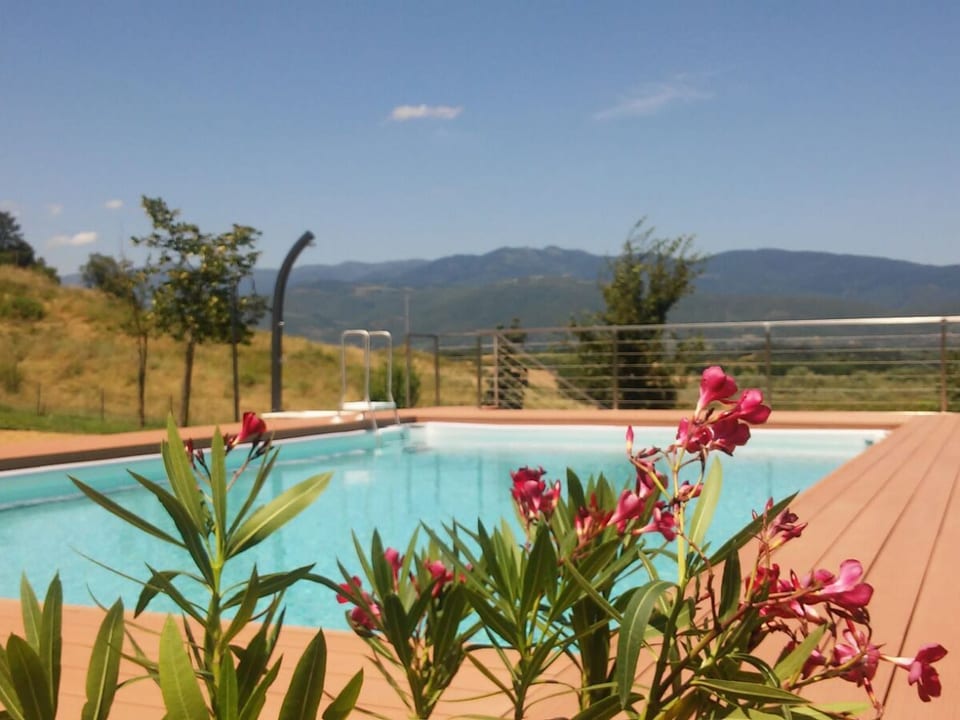 Flache Linde - Province of Arezzo