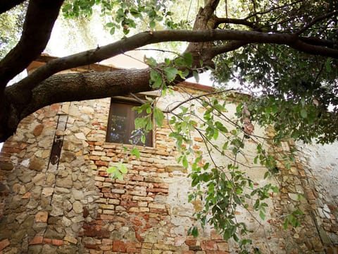 Casa Il Sàrperi in Montecatini Val di Cecina