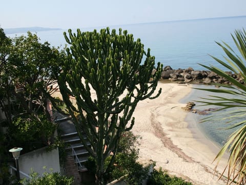 Villa Laura am Meer - P1