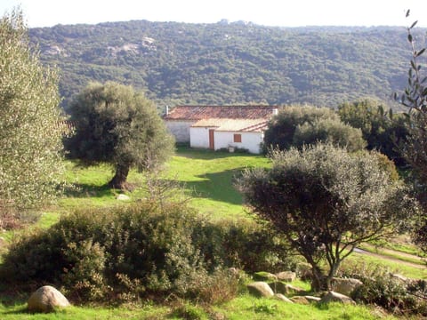Stazzo mit Garten in Luogosanto