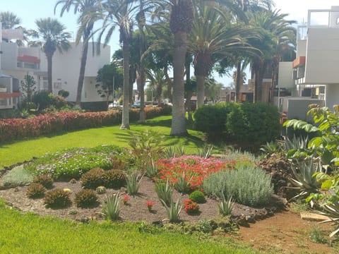 "Primavera