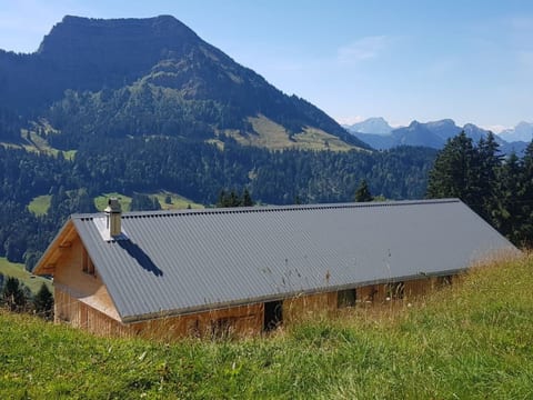 Alp Scherlet