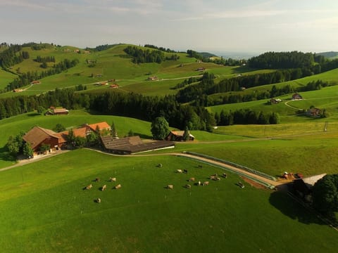 Alpakahof Ferien
