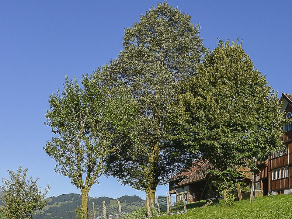 Ferien Alpsteinblick - Urnäsch