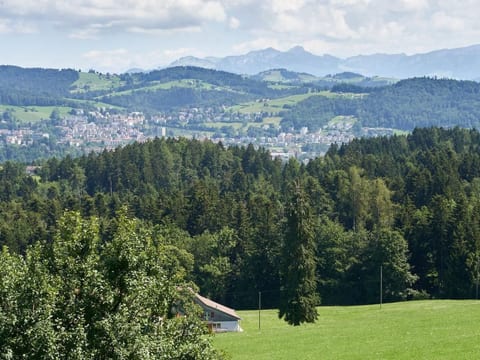 Hof Höchi